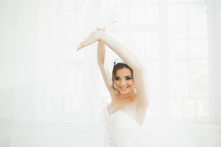 Beautiful bride in wedding dress with long full skirt, white background, dance and smileの写真素材