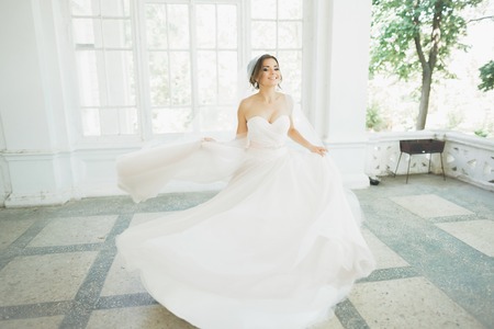 Beautiful bride in wedding dress with long full skirt, white background, dance and smileの写真素材