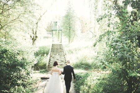 Happy wedding couple bride and groom posing in a botanical parkの写真素材