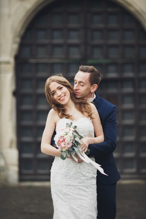 Happy wedding couple hugging and smiling each other on background old castleの写真素材