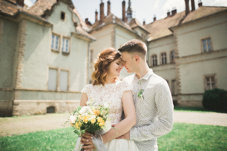 Beautiful romantic wedding couple of newlyweds hugging near old castleの写真素材