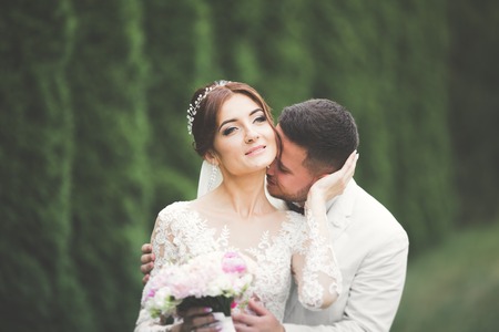 Romantic, fairytale, happy newlywed couple hugging and kissing in a park, trees in backgroundの写真素材