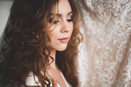 Gorgeous bride in robe posing and preparing for the wedding ceremony face in a roomの写真素材