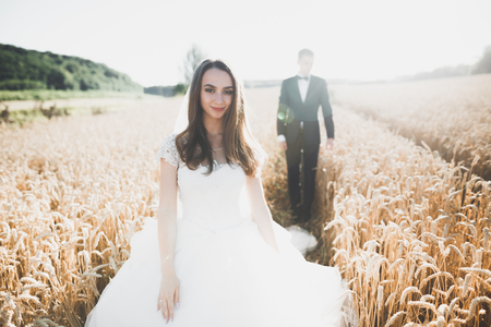 Wedding couple posing on sunset at wedding day. Bride and groom in loveの写真素材