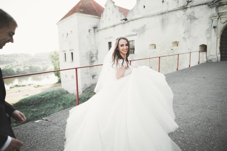 Amazing happy gentle stylish beautiful romantic caucasian couple on the background ancient baroque castleの写真素材