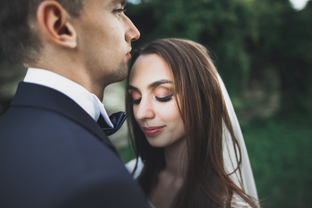 Kissing wedding couple in spring nature close-up portraitの写真素材