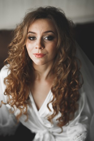 Portrait of beautiful bride with fashion veil at wedding morning. Wedding dress.の写真素材