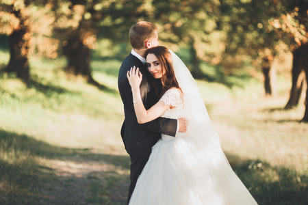 Perfect couple bride, groom posing and kissing in their wedding dayの写真素材