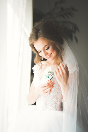 Gorgeous bride in robe posing and preparing for the wedding ceremony face in a roomの写真素材