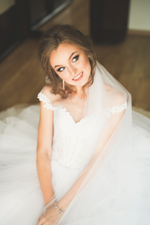 Beautiful bride wearing fashion wedding dress with feathers with luxury delight make-up and hairstyle, studio indoor photo shootの写真素材