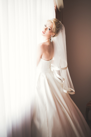 Portrait of beautiful bride with fashion veil at wedding morningの写真素材