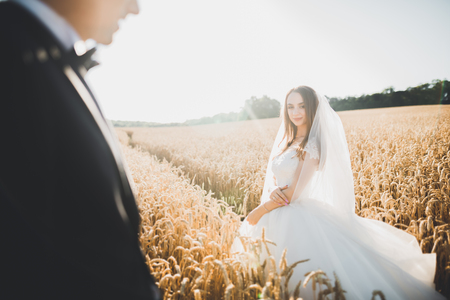 Emotional beautiful bride hugging newlywed groom at a field closeupの写真素材