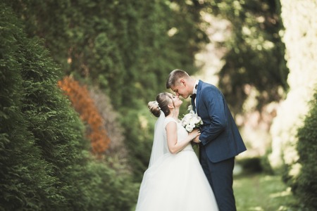 Newly married couple running and jumping in park while holding handsの写真素材