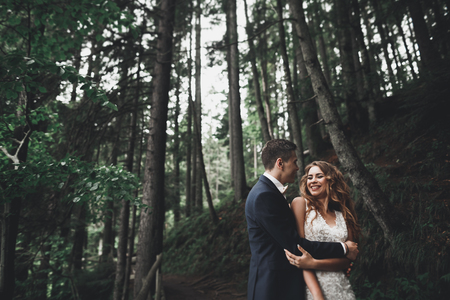 Happy wedding couple walking in a botanical parkの写真素材