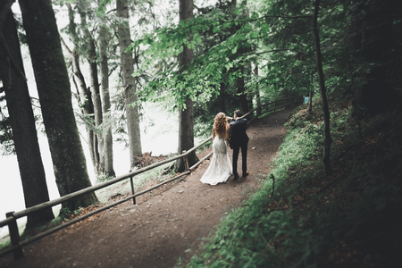 Elegant stylish happy brunette bride and gorgeous groom on the background of a beautiful river in the mountainsの写真素材