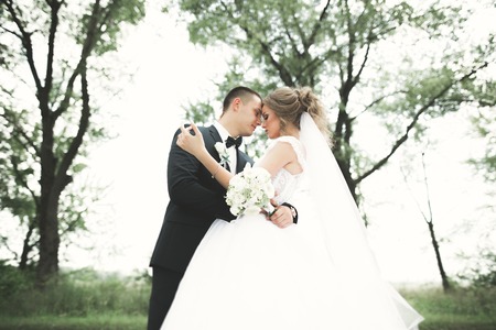 Romantic, fairytale, happy newlywed couple hugging and kissing in a park, trees in backgroundの写真素材