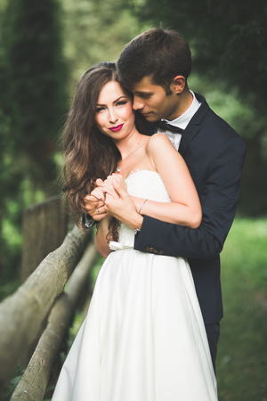 Wedding couple bride and groom holding handsの写真素材