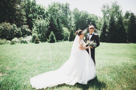 Happy wedding couple charming groom and perfect bride posing in parkの写真素材