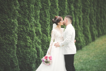 Romantic, fairytale, happy newlywed couple hugging and kissing in a park, trees in backgroundの写真素材
