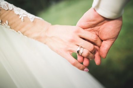 Wedding couple bride and groom holding handsの写真素材