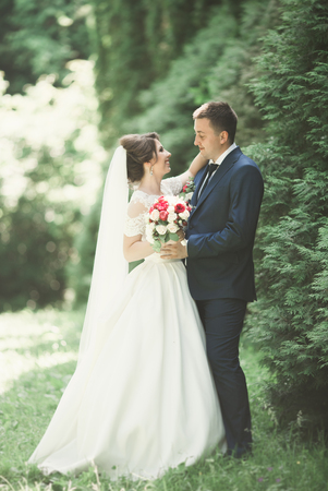 Stylish couple of happy newlyweds walking in the park on their wedding day with bouquetの写真素材