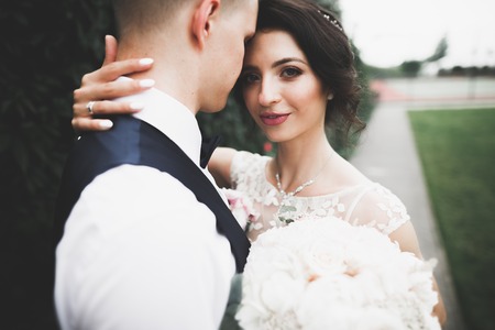 Perfect couple bride, groom posing and kissing in their wedding dayの写真素材