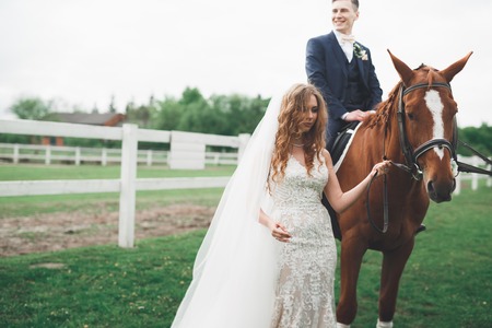 Newly married wedding couple stand with beautiful horse on natureの写真素材