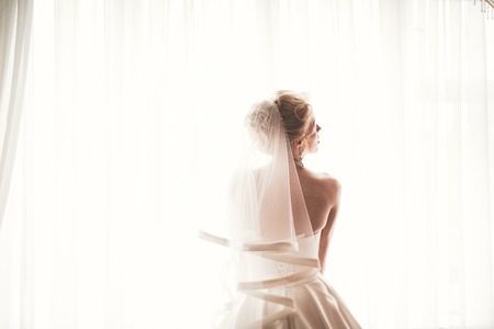 Beautiful bride wearing fashion wedding dress with feathers with luxury delight make-up and hairstyle, studio indoor photo shootの写真素材