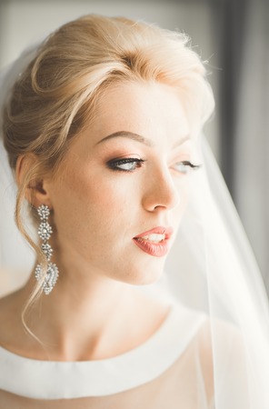 Luxury bride in white dress posing while preparing for the wedding ceremonyの写真素材