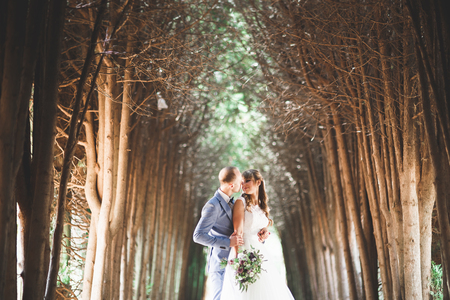 Beautiful young wedding couple is kissing and smiling in the parkの写真素材