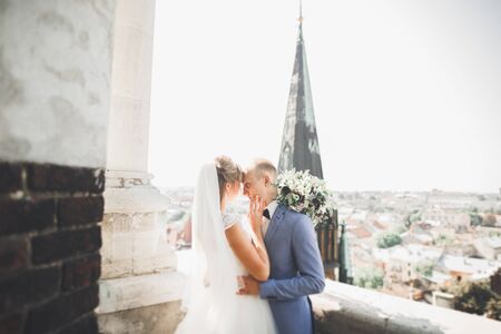 Stylish beautiful wedding couple kissing and hugging on background panoramic view of the old townの写真素材