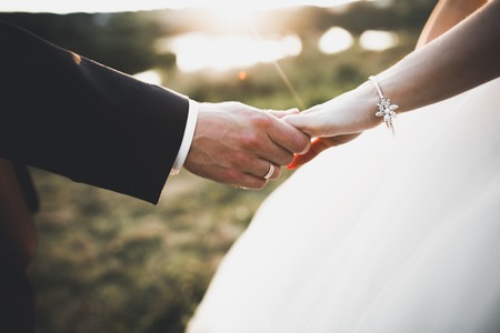 Wedding couple bride and groom holding handsの写真素材