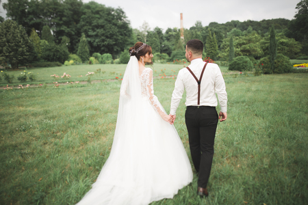 Beautiful romantic wedding couple of newlyweds hugging in park on sunsetの写真素材