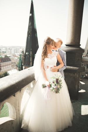 Stylish beautiful wedding couple kissing and hugging on background panoramic view of the old townの写真素材