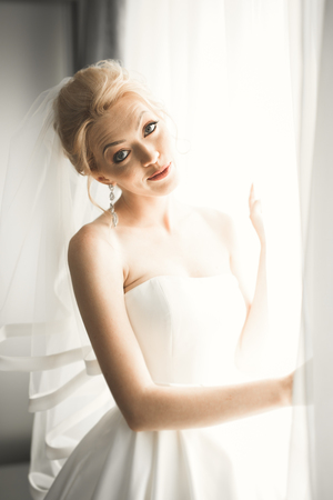 Portrait of beautiful bride with fashion veil at wedding morningの写真素材