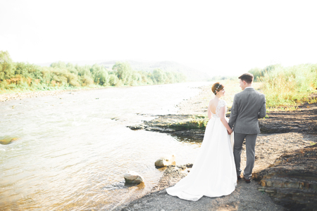 Wedding couple bride and groom holding handsの写真素材