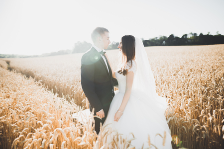 Wedding couple posing on sunset at wedding day. Bride and groom in loveの写真素材