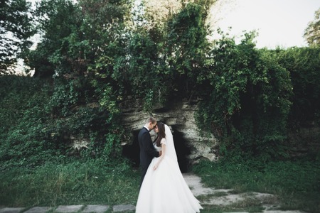 Wedding couple bride and groom holding handsの写真素材