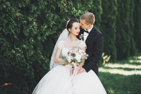Romantic, fairytale, happy newlywed couple hugging and kissing in a park, trees in backgroundの写真素材