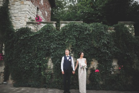 Wedding couple bride and groom holding handsの写真素材