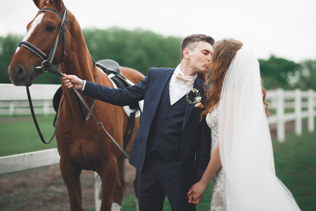 Bride and groom in forest with horses. Wedding couple. Beautiful portrait in natureの写真素材