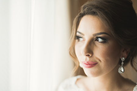 Beautiful bride wearing fashion wedding dress with feathers with luxury delight make-up and hairstyle, studio indoor photo shootの写真素材
