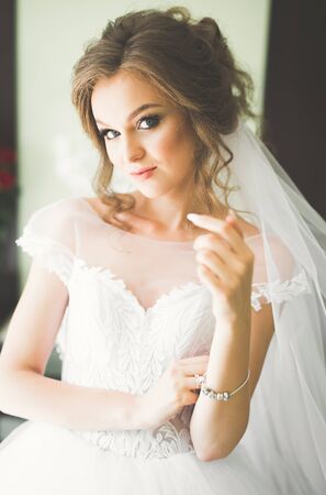 Luxury bride in white dress posing while preparing for the wedding ceremonyの写真素材
