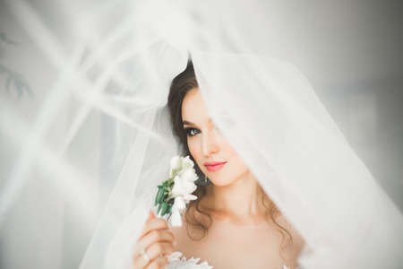 Portrait of beautiful bride with fashion veil at wedding morningの写真素材