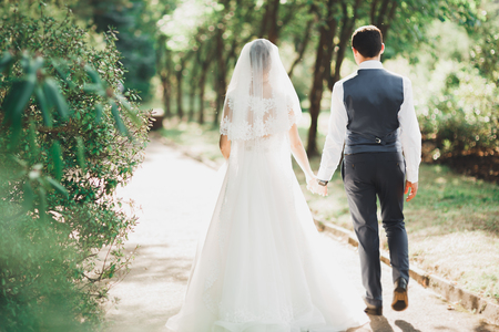Perfect couple bride, groom posing and kissing in their wedding dayの写真素材
