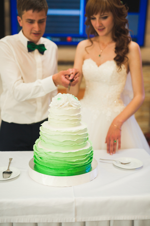Bride and groom at wedding cutting the wedding cakeの写真素材
