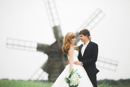 Lovely wedding couple, bride and groom posing in field during sunsetの写真素材
