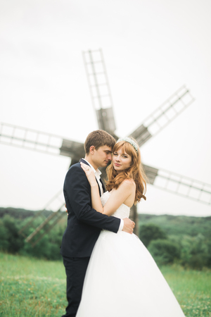 Happy wedding couple walking in a botanical parkの写真素材