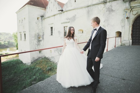 Beautiful romantic wedding couple of newlyweds hugging near old castleの写真素材