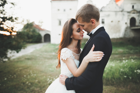 Beautiful romantic wedding couple of newlyweds hugging near old castleの写真素材